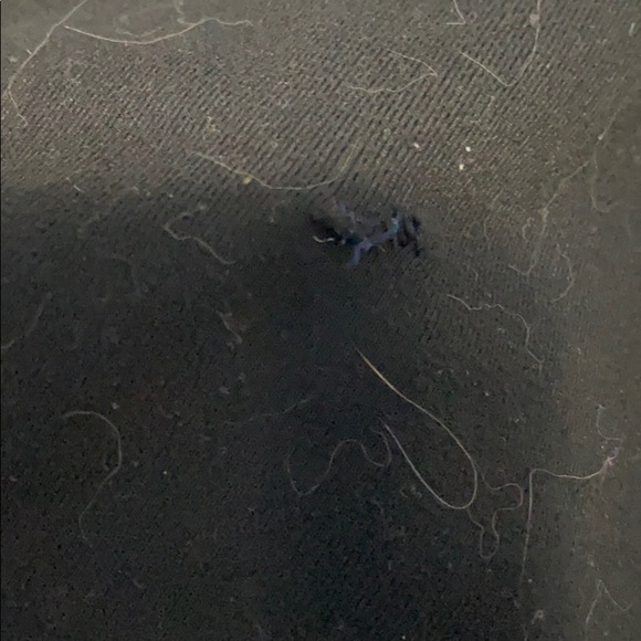 straight legged lulus - Picture 5 of 5